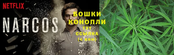 прущая мука Медногорск
