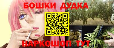 индика Дубна