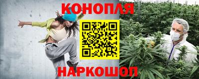 Альфа ПВП Донецк