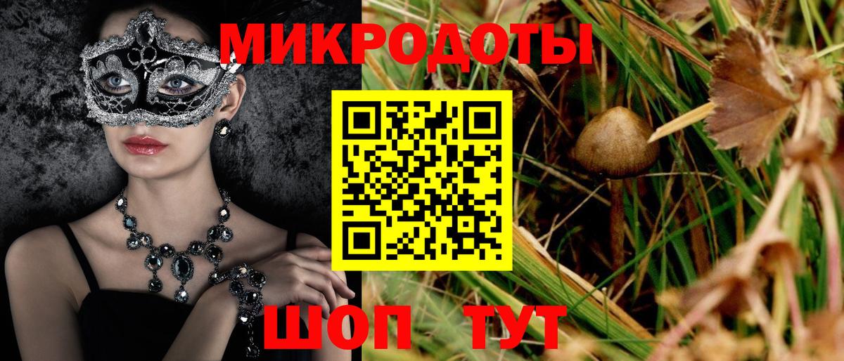 Галлюциногенные грибы Magic Shrooms  Вход с VPN  Югорск  Галлюциногенные грибы Cubensis 