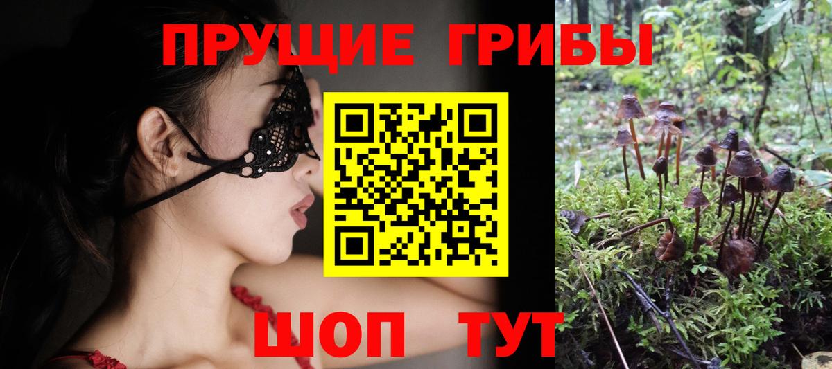 Псилоцибиновые грибы Psilocybine cubensis Югорск
